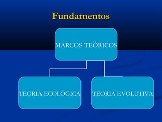 FundamentosFundamentos
MARCOS TEÓRICOS
TEORIA ECOLÓGICA TEORIA EVOLUTIVA
 