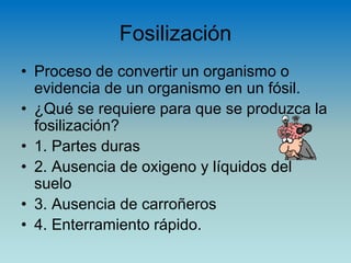 Fosilización
• Proceso de convertir un organismo o
evidencia de un organismo en un fósil.
• ¿Qué se requiere para que se produzca la
fosilización?
• 1. Partes duras
• 2. Ausencia de oxigeno y líquidos del
suelo
• 3. Ausencia de carroñeros
• 4. Enterramiento rápido.
 