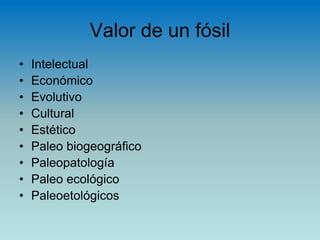 Valor de un fósil
• Intelectual
• Económico
• Evolutivo
• Cultural
• Estético
• Paleo biogeográfico
• Paleopatología
• Paleo ecológico
• Paleoetológicos
 