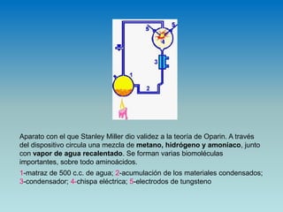 Aparato con el que Stanley Miller dio validez a la teoría de Oparin. A través
del dispositivo circula una mezcla de metano, hidrógeno y amoniaco, junto
con vapor de agua recalentado. Se forman varias biomoléculas
importantes, sobre todo aminoácidos.
1-matraz de 500 c.c. de agua; 2-acumulación de los materiales condensados;
3-condensador; 4-chispa eléctrica; 5-electrodos de tungsteno
 