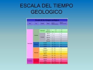ESCALA DEL TIEMPO
GEOLOGICO
Escala de los tiempos geológicos
Eón Era Período Época
Intervalo
(Millones de años)
Duración
(Millones de años)
Holoceno - 0.01 0.01
Cuaternario
Pleistoceno 0.01 - 1.8 1.79
Plioceno 1.8 - 5 3.2
Mioceno 5 - 23 18
Oligoceno 23 - 37 14
Eoceno 37 - 55 18
Cenozoico
Terciario
Paleoceno 55 - 65 10
Cretácico 65 - 140 75
Jurásico 140 - 210 70
Mesozoico
Triásico 210 - 250 40
Pérmico 250 - 290 40
Carbonífero 290 - 360 70
Devónico 360 - 410 50
Silúrico 410 - 440 30
Ordovícico 440 - 500 60
Fanerozoico
Paleozoico
Cámbrico 500 - 590 90
Superior 590 - 900 310
Medio 900 - 1600 700
Precámbrico Proterozoico
Inferior 1600 - 2500 900
 