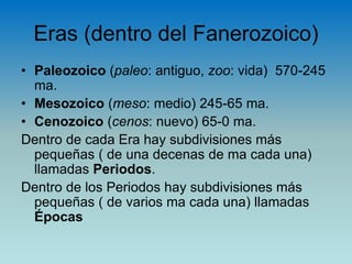 Eras (dentro del Fanerozoico)
• Paleozoico (paleo: antiguo, zoo: vida) 570-245
ma.
• Mesozoico (meso: medio) 245-65 ma.
• Cenozoico (cenos: nuevo) 65-0 ma.
Dentro de cada Era hay subdivisiones más
pequeñas ( de una decenas de ma cada una)
llamadas Periodos.
Dentro de los Periodos hay subdivisiones más
pequeñas ( de varios ma cada una) llamadas
Épocas
 