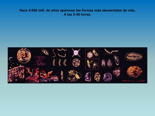 Hace 4.000 mill. de años aparecen las formas más elementales de vida.
A las 2:40 horas.
 