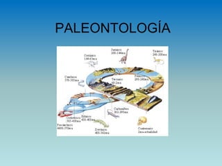 PALEONTOLOGÍA
 