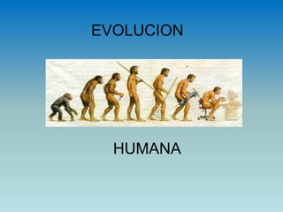 EVOLUCION
HUMANA
 