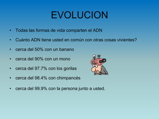 EVOLUCION
• Todas las formas de vida comparten el ADN
• Cuánto ADN tiene usted en común con otras cosas vivientes?
• cerca del 50% con un banano
• cerca del 90% con un mono
• cerca del 97.7% con los gorilas
• cerca del 98.4% con chimpancés
• cerca del 99.9% con la persona junto a usted.
 