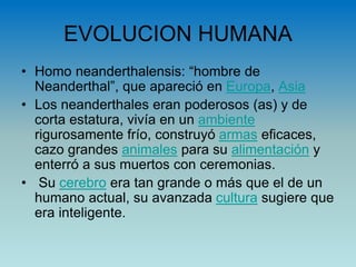 EVOLUCION HUMANA
• Homo neanderthalensis: “hombre de
Neanderthal”, que apareció en Europa, Asia
• Los neanderthales eran poderosos (as) y de
corta estatura, vivía en un ambiente
rigurosamente frío, construyó armas eficaces,
cazo grandes animales para su alimentación y
enterró a sus muertos con ceremonias.
• Su cerebro era tan grande o más que el de un
humano actual, su avanzada cultura sugiere que
era inteligente.
 