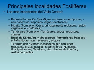 Principales localidades Fosilíferas
• Las más importantes del Valle Central:
– Patarrá (Formación San Miguel –moluscos,-artrópodos, -
equinodermos,-esponjas,-algas,-icnofósiles)
– Higuito (Formación Córis, principalmente moluscos, restos
vegetales e icnofósiles)
– Turrúcares (Formación Turrúcares, erizos, moluscos,
corales)
– Brasil de Santa Ana y alrededores (Formaciones Pacacua
y Peña Negra, con moluscos y erizos)
– Turrialba con diversas localidades que contienen
moluscos, erizos, corales, foraminíferos (Numulites,
Globigerinoides, Orbulinas, etc), dientes de tiburón y
restos de plantas.
 