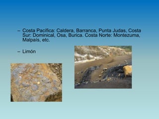 – Costa Pacífica: Caldera, Barranca, Punta Judas, Costa
Sur: Dominical, Osa, Burica. Costa Norte: Montezuma,
Malpaís, etc.
– Limón
 
