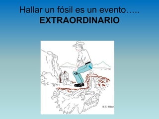 Hallar un fósil es un evento…..
EXTRAORDINARIO
 