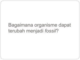 Bagaimana organisme dapat
terubah menjadi fossil?
 