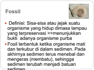 Fossil
 Definisi: Sisa-sisa atau jejak suatu
organisme yang hidup dimasa lampau
yang terpreservasi >>menunjukkan
bukti adanya organisme purba
 Fosil terbentuk ketika organisme mati
dan terkubur di dalam sedimen. Pada
akhirnya sedimen terus menebal dan
mengeras (membatu), sehingga
sedimen terubah menjadi batuan
 