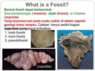 What is a Fossil?
Bentuk fossil dapat berbenntuk
Sisa-sisa/potongan (remains), Jejak (traces), or Cetakan
(imprints)
Yang terpreservasi pada suatu waktu di dalam sejarah
geologi masa lampau. Catatan: hanya sedikit bagian
organisme yang dapat terfosilkanJenis fosil utama:
1. body fossils
2. trace fossils
(coprolite)
2. pseudofossils
 