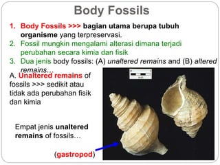1. Body Fossils >>> bagian utama berupa tubuh
organisme yang terpreservasi.
2. Fossil mungkin mengalami alterasi dimana terjadi
perubahan secara kimia dan fisik
3. Dua jenis body fossils: (A) unaltered remains and (B) altered
remains…
Body Fossils
A. Unaltered remains of
fossils >>> sedikit atau
tidak ada perubahan fisik
dan kimia
Empat jenis unaltered
remains of fossils…
(gastropod)
 