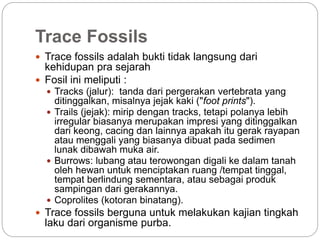 Trace Fossils
 Trace fossils adalah bukti tidak langsung dari
kehidupan pra sejarah
 Fosil ini meliputi :
 Tracks (jalur): tanda dari pergerakan vertebrata yang
ditinggalkan, misalnya jejak kaki ("foot prints").
 Trails (jejak): mirip dengan tracks, tetapi polanya lebih
irregular biasanya merupakan impresi yang ditinggalkan
dari keong, cacing dan lainnya apakah itu gerak rayapan
atau menggali yang biasanya dibuat pada sedimen
lunak dibawah muka air.
 Burrows: lubang atau terowongan digali ke dalam tanah
oleh hewan untuk menciptakan ruang /tempat tinggal,
tempat berlindung sementara, atau sebagai produk
sampingan dari gerakannya.
 Coprolites (kotoran binatang).
 Trace fossils berguna untuk melakukan kajian tingkah
laku dari organisme purba.
 