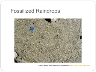 Fossilized Raindrops
© Bruce Molnia, Terra Photographics, Image Source: Earth Science World Image Bank
 