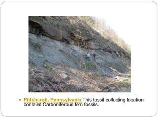  Pittsburgh, Pennsylvania This fossil collecting location
contains Carboniferous fern fossils.
 