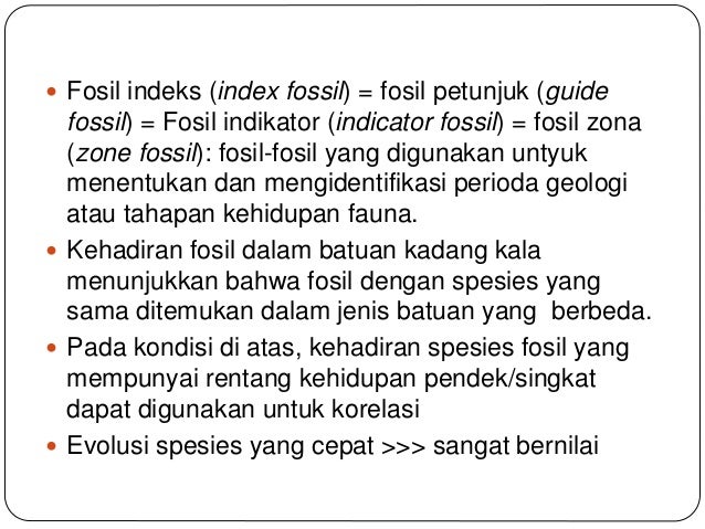 Paleontologi 2: Fossil, Evolusi & Waktu Geologi