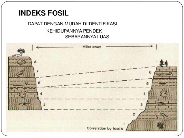 Paleontologi 2: Fossil, Evolusi & Waktu Geologi