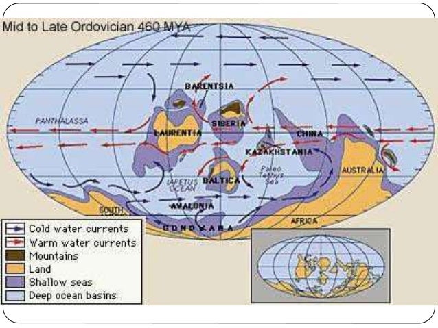 Paleontologi 2: Fossil, Evolusi & Waktu Geologi