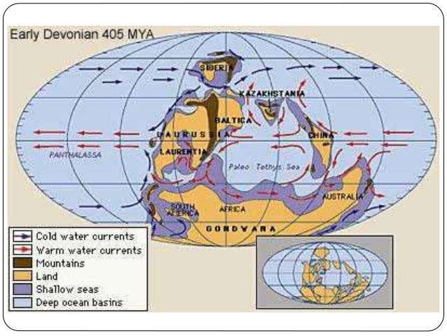 Paleontologi 2: Fossil, Evolusi & Waktu Geologi