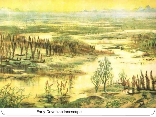 Paleontologi 2: Fossil, Evolusi & Waktu Geologi