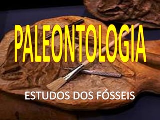 PALEONTOLOGIA  ESTUDOS DOS FÓSSEIS 