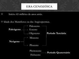  Início: 65 milhões de anos atrás.
 Idade dos Mamíferos ou das Angiospermas.
Paleógeno
ERA CENOZÓICA
Paleoceno
Eoceno
Oligoceno
Neógeno
Mioceno
Plioceno
Período Terciário
Período Quaternário
Holoceno
Pleistoceno
 