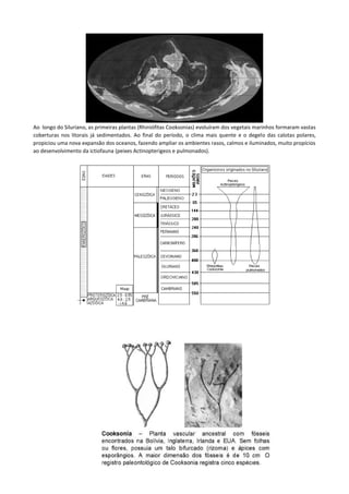 Ao longo do Siluriano, as primeiras plantas (Rhiniófitas Cooksonias) evoluíram dos vegetais marinhos formaram vastas
coberturas nos litorais já sedimentados. Ao final do período, o clima mais quente e o degelo das calotas polares,
propiciou uma nova expansão dos oceanos, fazendo ampliar os ambientes rasos, calmos e iluminados, muito propícios
ao desenvolvimento da ictiofauna (peixes Actinopterigeos e pulmonados).

 