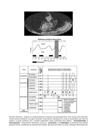 Na flora Devoniana surgiram as pró-gimnospermas (ancestrais das gimnospermas). Eram árvores que produziam
matéria lenhosa (madeira), sem gerar sementes. Essas plantas reproduziam-se como as samambaias, por meio de
esporos. O grupo perdurou até o Período Carbonífero sendo conhecidas duas Órdens: Archaeopteridales e
Aneurophytales . Ainda da flora devoniana, suriram as Zosterófitas e as Cladoxilálias; as primeiras eram plantas
pequenas foram consideradas as ancestrais das licófitas. Não possuíam folhas ou raízes, realizavam fotossíntese por

 