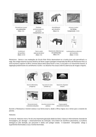 Pleistoceno - Dentro e nas imediações do Círculo Polar Ártico desenvolvem-se a tundra (com solo permafrost) e a
taiga. Nos antigos desertos da atual América do Norte surgem pastagens temperadas.Na África do Pleistoceno final, os
seres humanos surgiram na África. Animais típicos desta época foram a rena, o urso polar e os rinocerontes lanosos. A
vegetação predominante era semelhante à tundra e os desertos frios atuais onde há coberturas de musgos e líquens.

Durante o Pleistoceno o homem evoluiu à sua forma atual e, desde a África migrou via o Iemen para o restante do
planeta.
Holoceno
O início do Holoceno marca fim de uma importante glaciação (Idade do Gelo). A época é informalmente chamada de
Antropógeno, por abranger o desenvolvimento da civilização. Uma Ordem de mamíferos placentários, os Eutheria
distinguiu-se pela dentição, por possuírem 5 dedos com polegar isolado. A Subordem Antropóidea abriga a
Superfamília Hominoidea e essa a Família Hominidae.

 