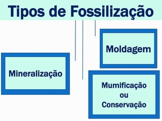 Tipos de Fossilização
Mineralização
Moldagem
Mumificação
ou
Conservação
 