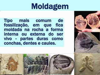 Moldagem
Tipo mais comum de
fossilização, em que fica
moldada na rocha a forma
interna ou externa do ser
vivo - partes duras como
conchas, dentes e caules.
 