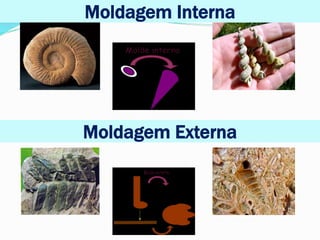 Moldagem Interna
Moldagem Externa
 
