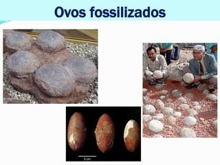 Ovos fossilizados
 