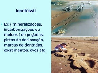 Icnofóssil
• Ex: ( mineralizações,
incarbonizações ou
moldes ) de pegadas,
pistas de deslocação,
marcas de dentadas,
excrementos, ovos etc
 