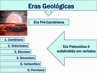 Eras Geológicas
1. Cambriano
3. Siluriano
4. Devoniano
5. Carbonífero
6. Permiano
2. Ordoviciano
Era Pré-Cambriana
Era Paleozóica é
subdividida em reríodos
 