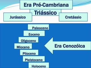 Era Pré-Cambriana
Triássico
Jurássico Cretássio
Paleoceno
Eoceno
Oligoceno
Mioceno
Plioceno
Pleistoceno
Holoceno
Era Cenozóica
 