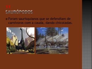  Foram saurisquianos que se defendiam de 
carnívoros com a cauda, dando chicotadas. 
 