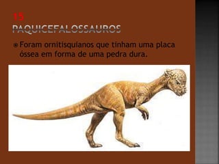  Foram ornitisquianos que tinham uma placa 
óssea em forma de uma pedra dura.m 
 