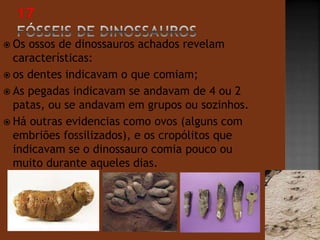  Os ossos de dinossauros achados revelam 
características: 
 os dentes indicavam o que comiam; 
 As pegadas indicavam se andavam de 4 ou 2 
patas, ou se andavam em grupos ou sozinhos. 
 Há outras evidencias como ovos (alguns com 
embriões fossilizados), e os cropólitos que 
indicavam se o dinossauro comia pouco ou 
muito durante aqueles dias. 
 