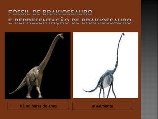 Há milhares de anos atualmente 
 