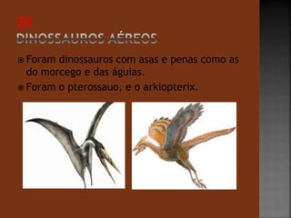  Foram dinossauros com asas e penas como as 
do morcego e das águias. 
 Foram o pterossauo, e o arkiopterix. 
 