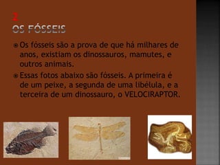  Os fósseis são a prova de que há milhares de 
anos, existiam os dinossauros, mamutes, e 
outros animais. 
 Essas fotos abaixo são fósseis. A primeira é 
de um peixe, a segunda de uma libélula, e a 
terceira de um dinossauro, o VELOCIRAPTOR. 
 