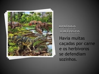 Havia muitas 
caçadas por carne 
e os herbívoros 
se defendiam 
sozinhos. 
 