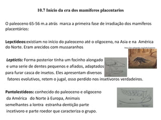 10.7 Início da era dos mamiferos placentarios
O paleoceno 65-56 m.a atrás marca a primeira fase de irradiação dos mamíferos
placentários:
Lepctideos:existiam no início do paleoceno até o oligoceno, na Asia e na América
do Norte. Eram arecidos com mussaranhos. http://en.wikipedia.org/wiki/Leptictis
Leptictis: Forma posterior tinha um focinho alongado
e uma serie de dentes pequenos e afiados, adaptados
para furar casca de insetos. Eles apresentam diversos
fatores evolutivos, retem o jugal, osso perdido nos insetivoros verdadeiros.
Pantolestideos: conhecido do paleoceno e oligoceno
da América do Norte à Europa, Animais
semelhantes a lontra estranha dentição parte
incetivoro e parte roedor que caracteriza o grupo.
 