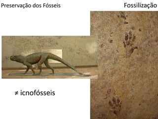 Preservação dos Fósseis Fossilização
≠ icnofósseis
 