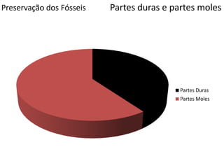 Preservação dos Fósseis Partes duras e partes moles
Partes Duras
Partes Moles
 