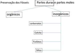 Preservação dos Fósseis
orgânicos
Partes duras e partes moles
inorgânicos
carbonatos
Calcita
Fosfatos
Silica
 
