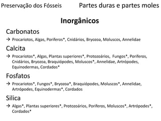 Preservação dos Fósseis Partes duras e partes moles
Carbonatos
 Procariotos, Algas, Poriferos*, Cnidários, Bryozoa, Moluscos, Annelidae
Calcita
 Procariotos*, Algas, Plantas superiores*, Protozoários, Fungos*, Poriferos,
Cnidários, Bryozoa, Braquiópodes, Moluscos*, Annelidae, Artrópodes,
Equinodermas, Cordados*
Fosfatos
 Procariotos*, Fungos*, Bryozoa*, Braquiópodes, Moluscos*, Annelidae,
Artrópodes, Equinodermas*, Cordados
Silica
 Algas*, Plantas superiores*, Protozoários, Poriferos, Moluscos*, Artrópodes*,
Cordados*
Inorgânicos
 